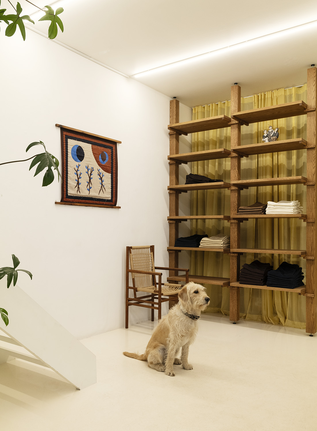 Golden retriever dog sitting in Another Aspect store in Copenhagen with wooden shelving and yellow curtains
