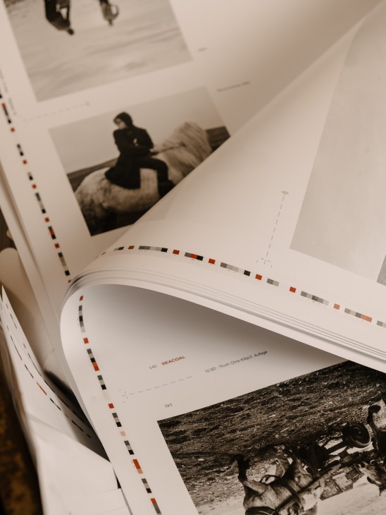 Stack of freshly printed book pages showing the quality of the printing process