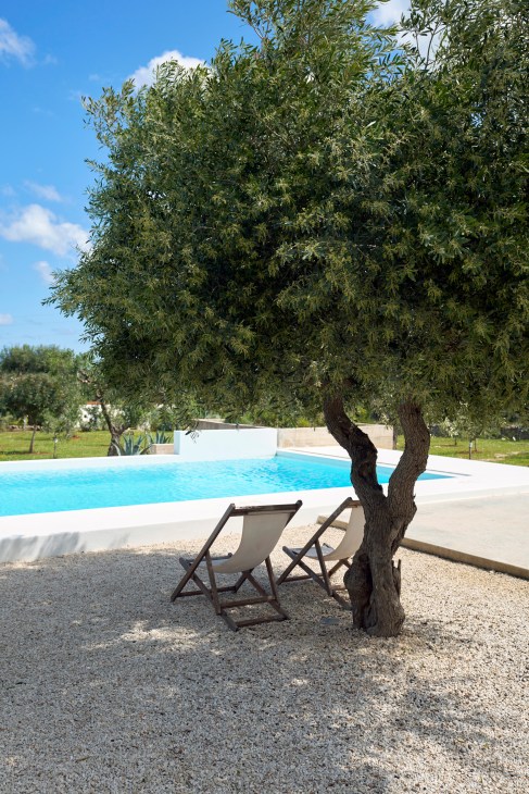 Modern infinity pool overlooking olive groves and countryside