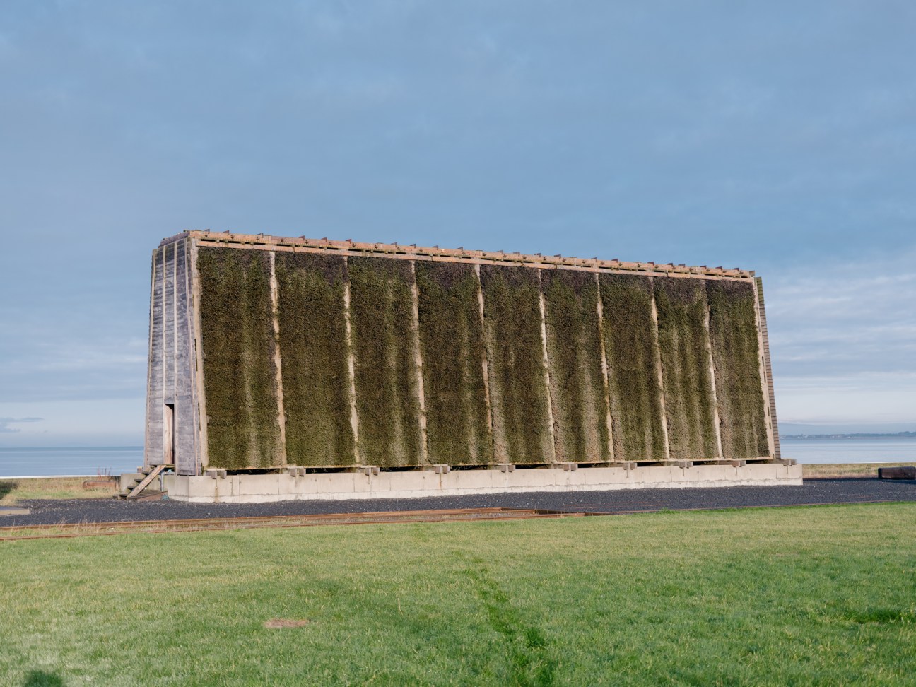 Blackthorn Salt's graduation tower