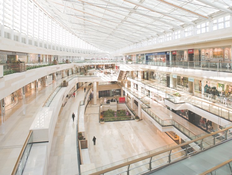 Spot the shopper