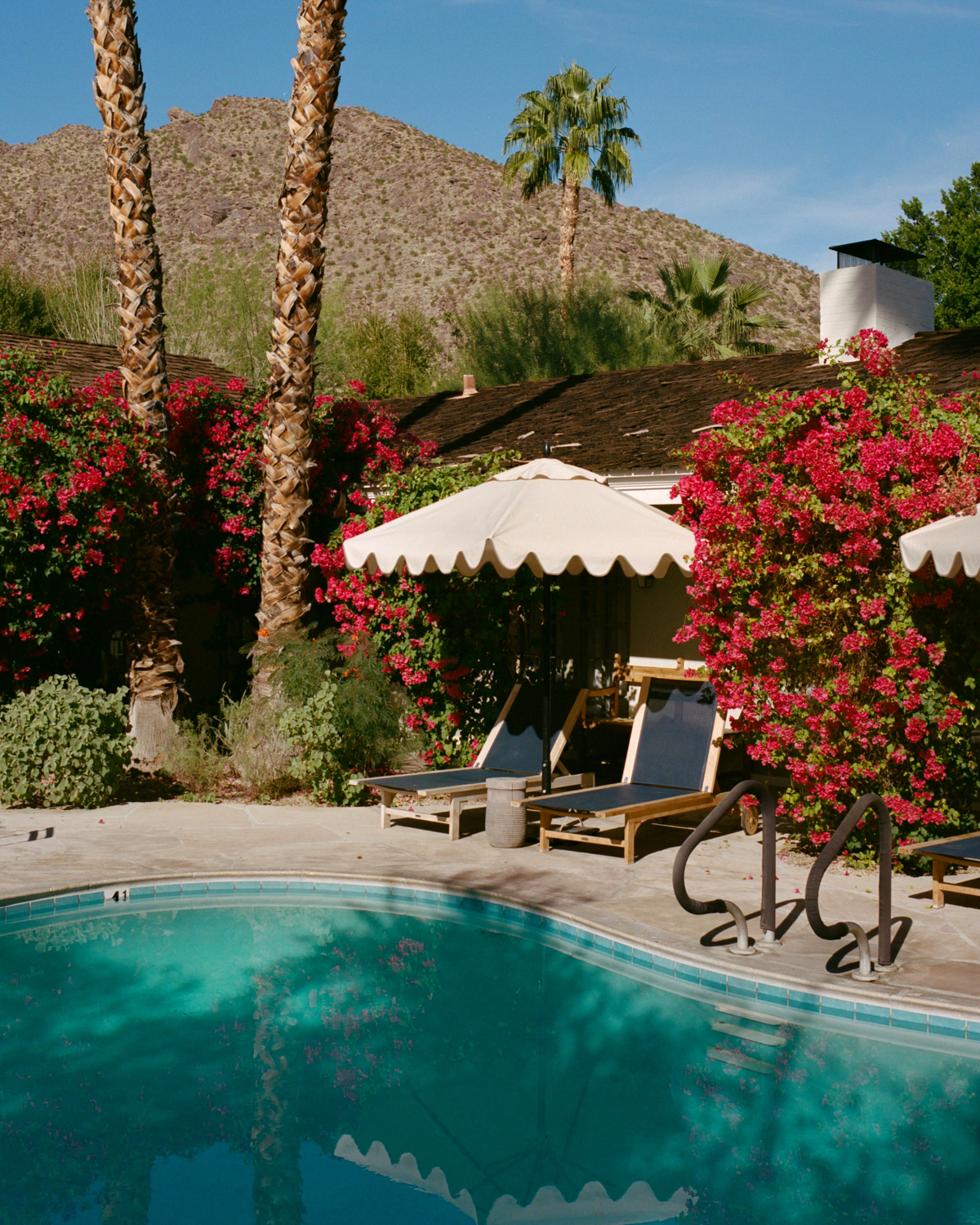 Poolside perch