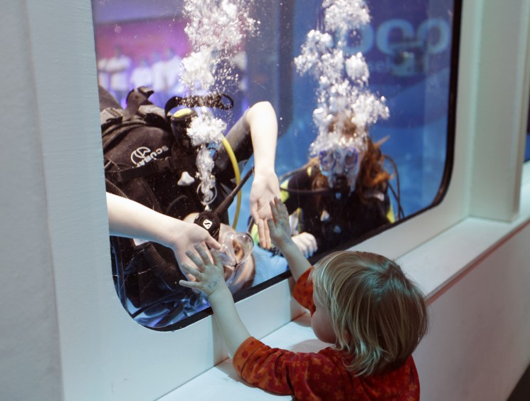 Divers try out cube