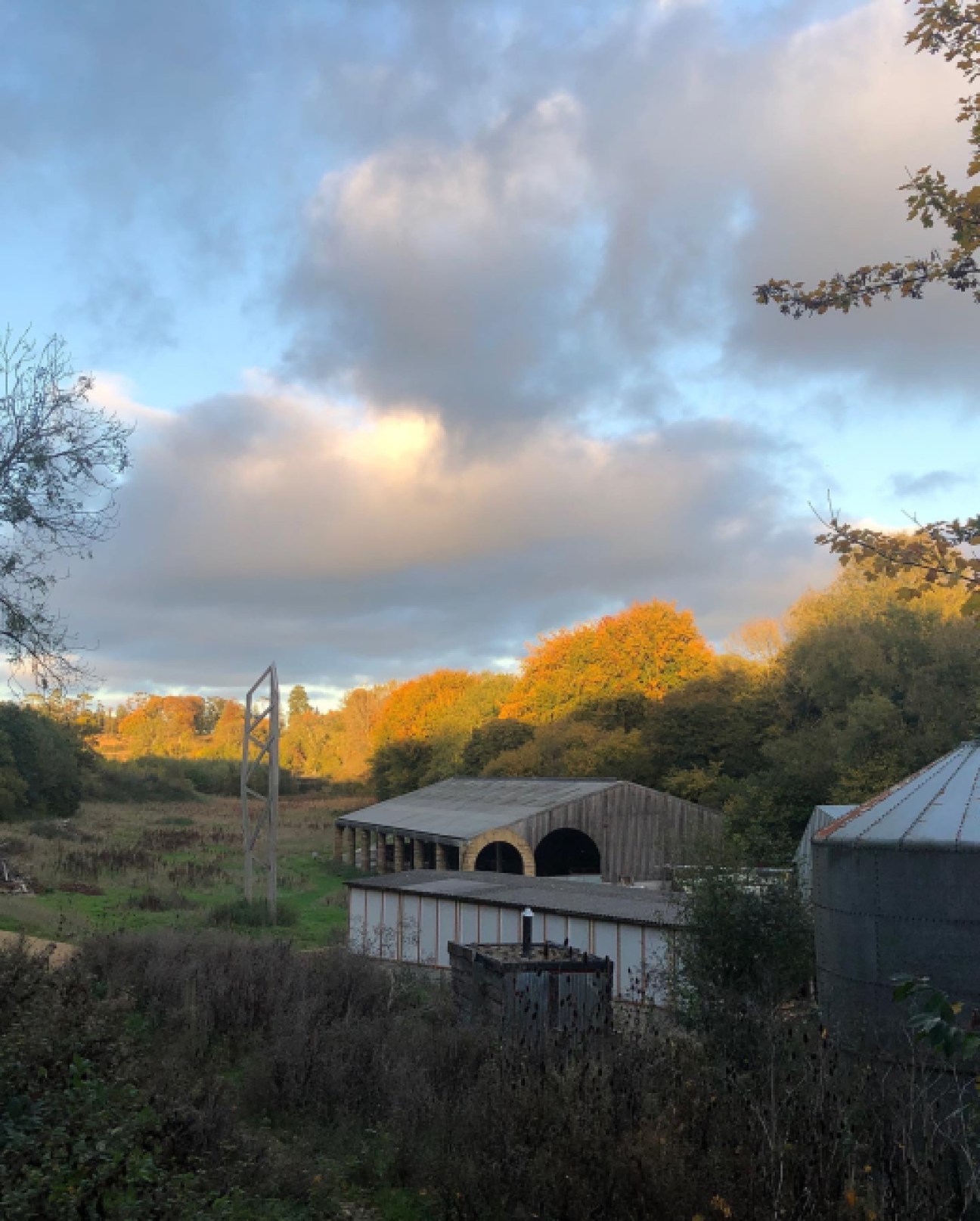 Rural farm buildings with corrugated metal roofs set against autumn trees and cloudy sky at dusk
