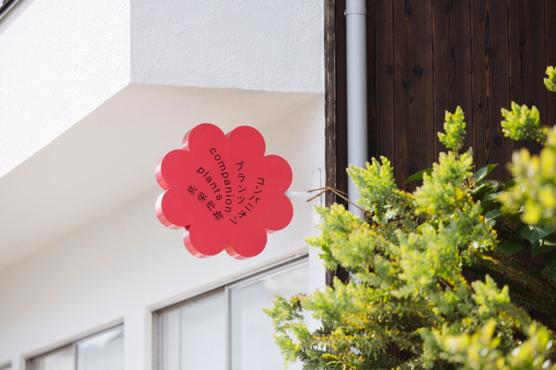 Close-up of Companion Plant's delicate flower-inspired logo design