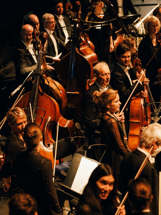 String section musicians with cellos and double basses performing in orchestra
