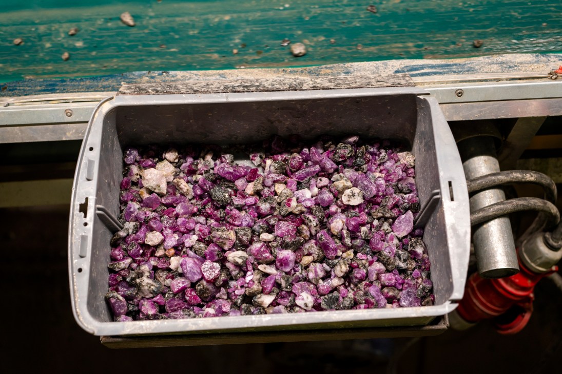 White crate filled with purple and white sea urchins on a fishing boat docked at turquoise water.