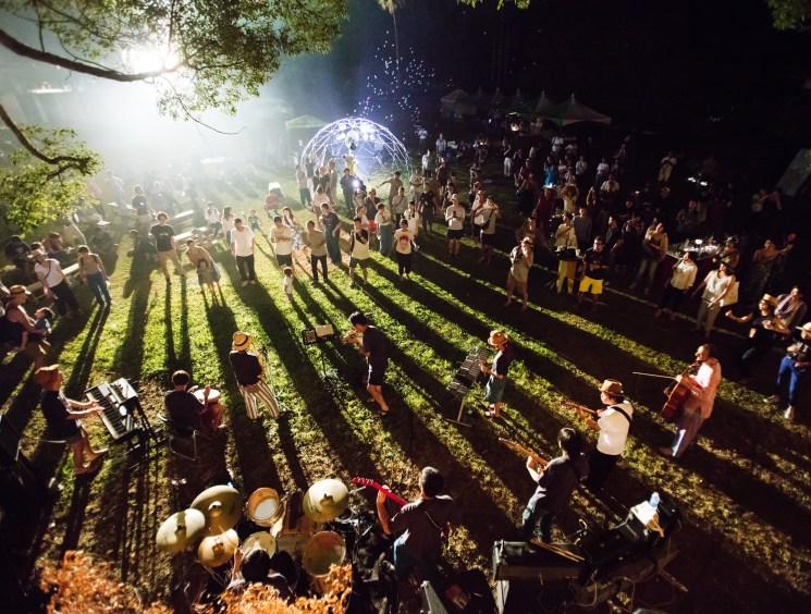 Into the woods