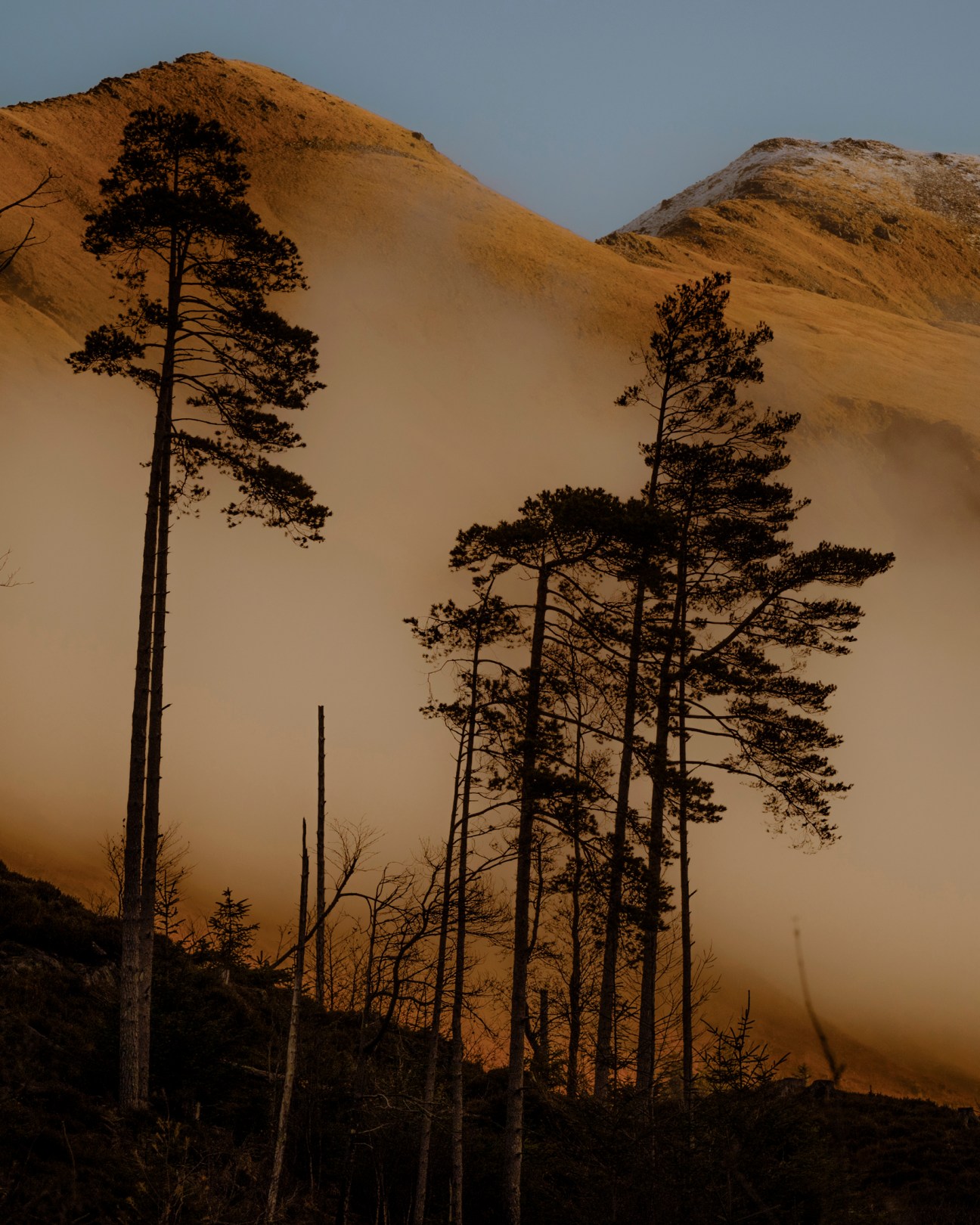 Scottish landscape view