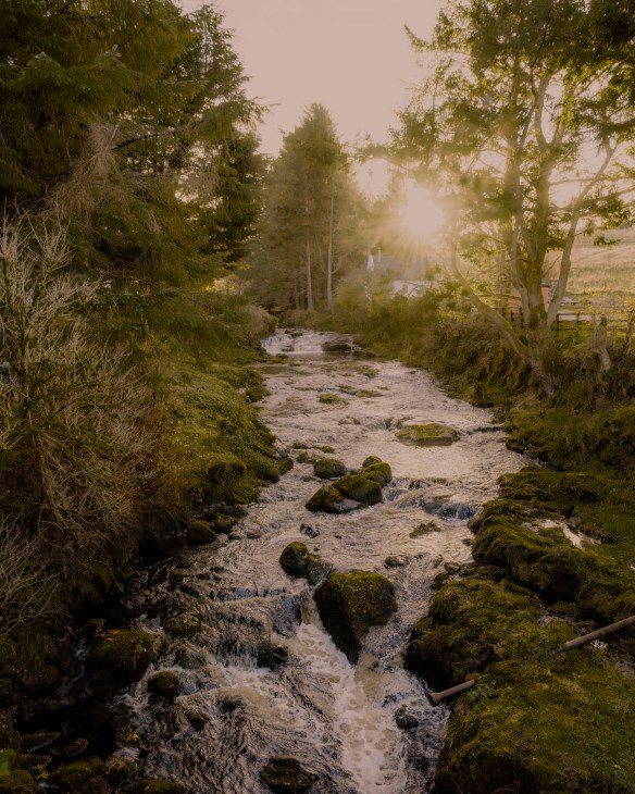 Natural surroundings of Edinbane Lodge