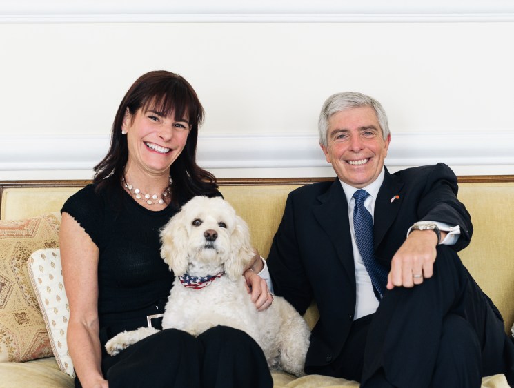 Political pooches