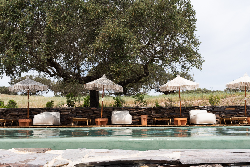 Pristine swimming pool surrounded by natural landscape