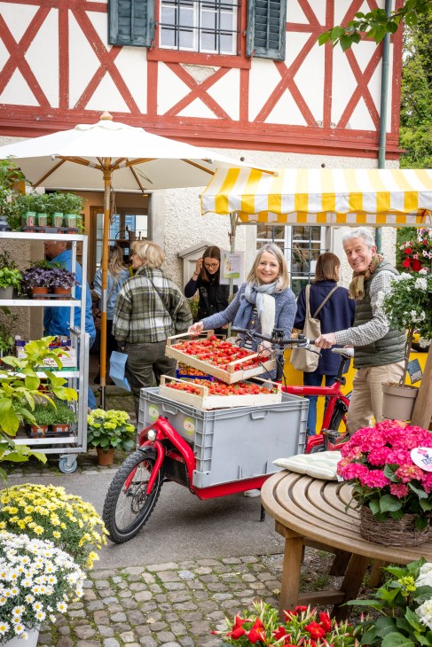 Customers shopping at an outdoor market with red bicycle cart, flowers and traditional half-timbered building