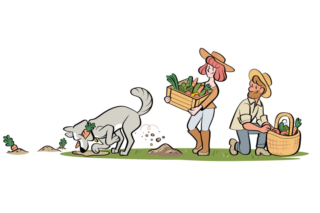 Two people in farming attire harvesting vegetables in a garden with a dog digging nearby