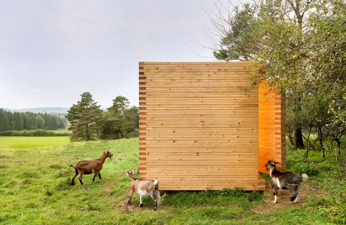 Pigmy goats outside a modern wooden barn with an orange door in a green pastoral landscape.