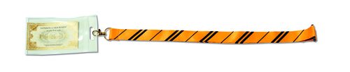 Hogwarts-themed lanyard with orange and black striped pattern and attached credential holder.