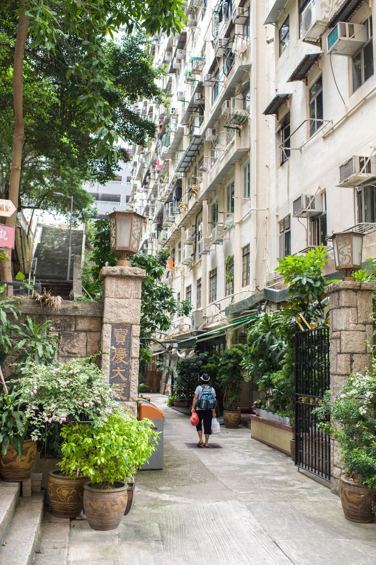 A tree-lined alley in Tai Ping Shan, Hong Kong with traditional shophouses, potted plants, and a person walking ahead.