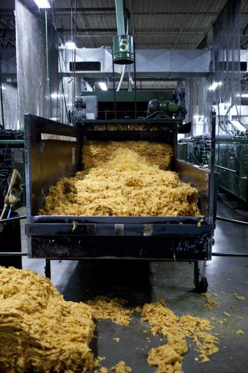 Industrial wool carding machine with raw wool fibres being processed in a factory setting.