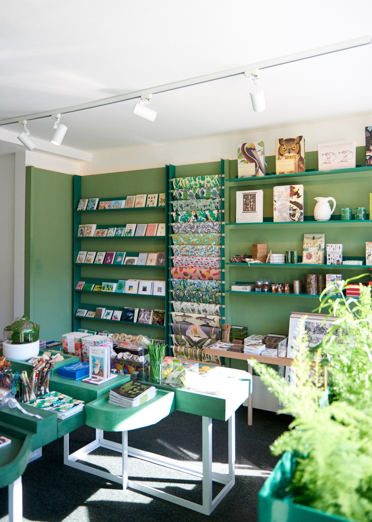 Eastern Biological shop interior with green walls, shelves displaying books and animal-themed products, and white pendant lighting.
