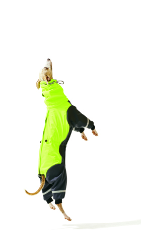 Small dog wearing a neon yellow and black fleece-lined full bodysuit with reflective strips, jumping against white background.