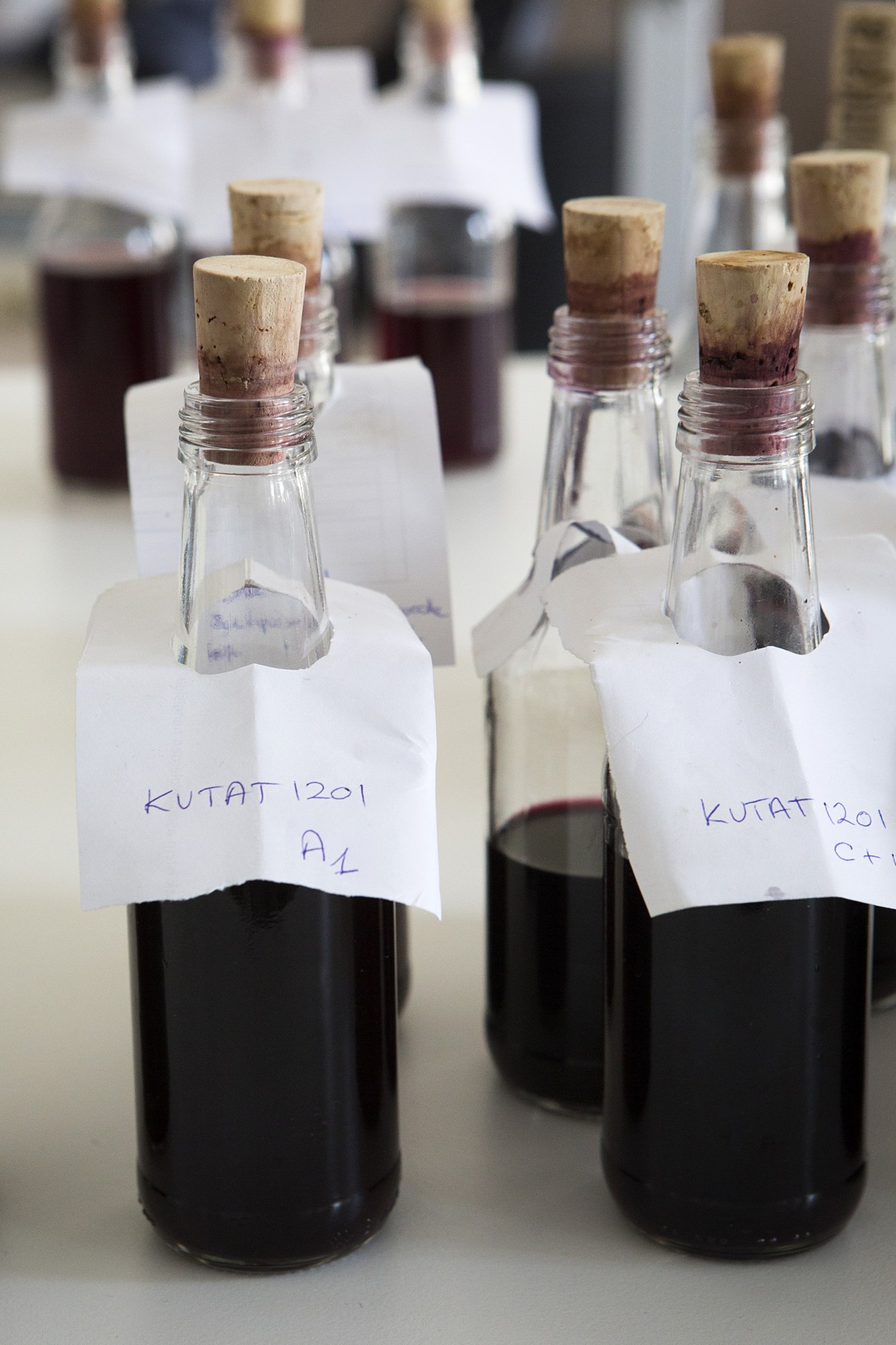 Wine bottles labeled with handwritten tags at a tasting event.