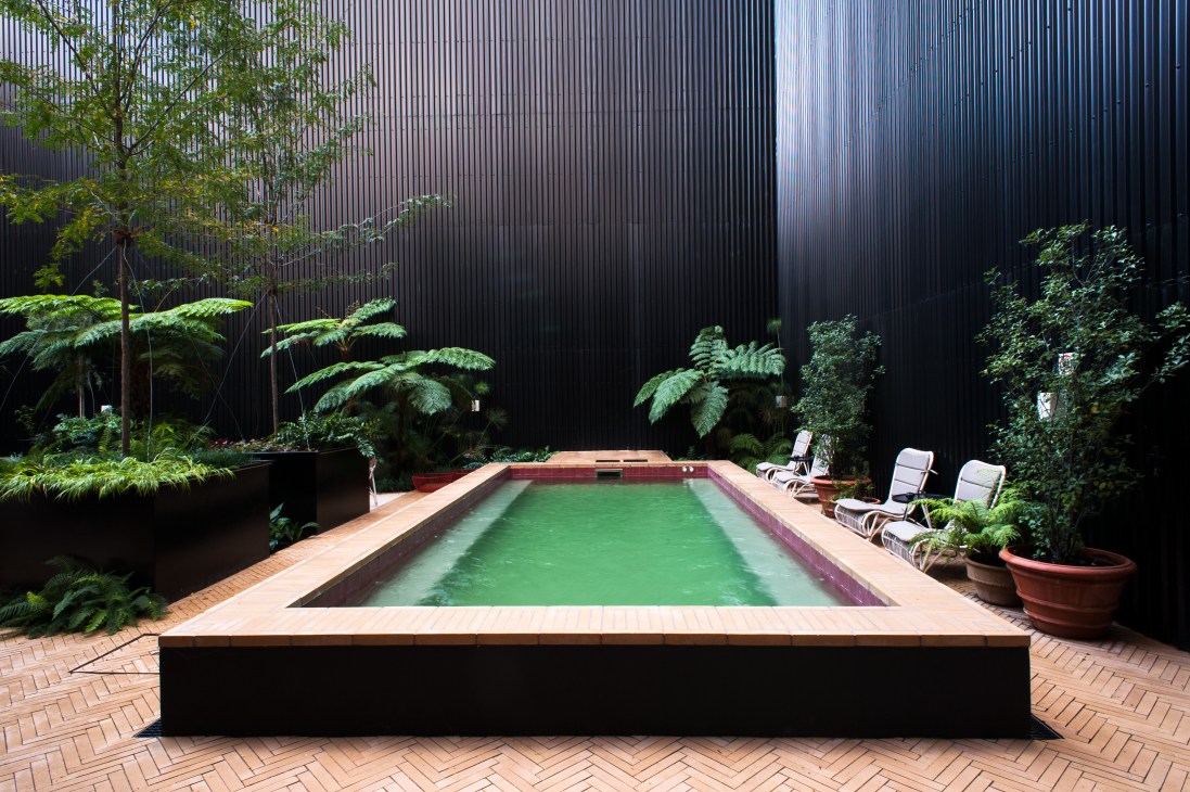 A rectangular swimming pool with green water surrounded by lush ferns and plants in a courtyard with black corrugated walls.