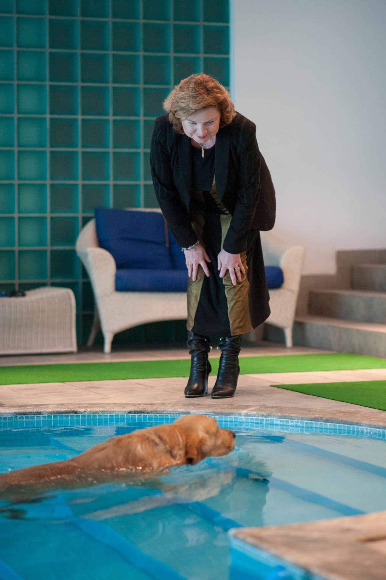 A woman in a black coat leans over a swimming pool watching a chocolate-brown Labrador retriever swim.