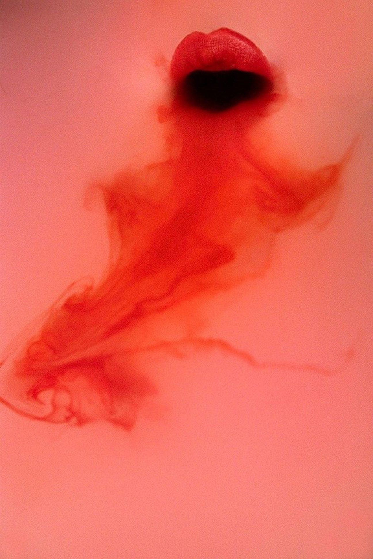 Abstract red and pink image showing sensual form with blurred edges by artist Amanda Charchian.