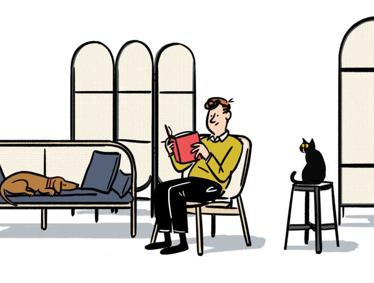 Illustration of a man reading in a modern interior with a sofa, arched windows, and a black cat on a stool.