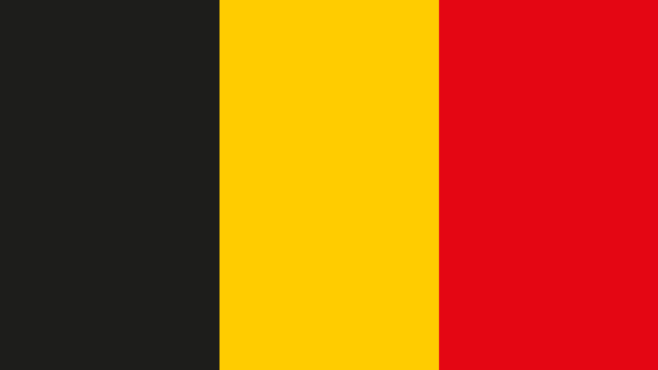 Belgium flag with black, yellow, and red horizontal stripes