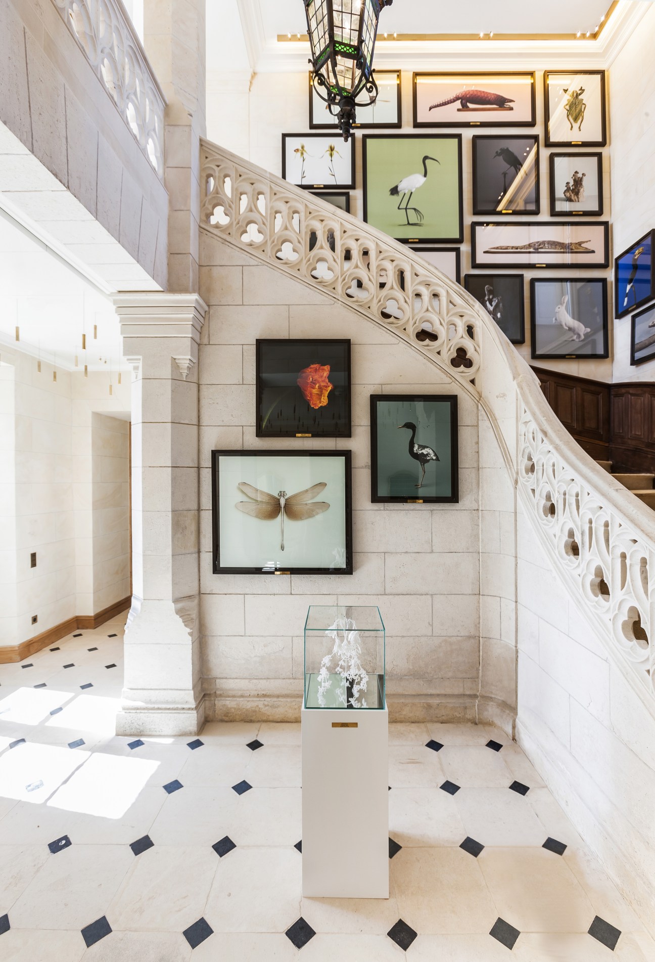 Grand staircase with ornate stone railings and framed natural history artwork lining the walls at Domaine des Etangs.