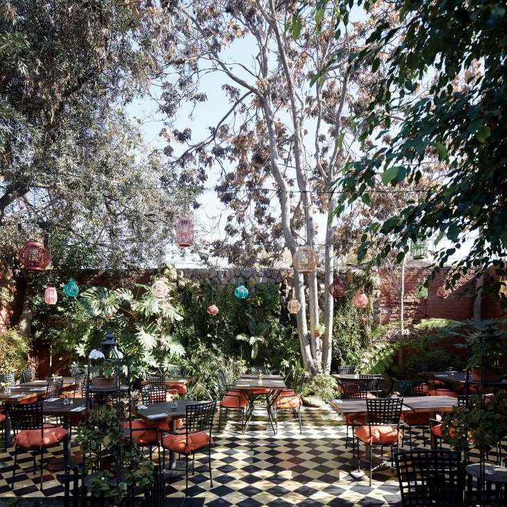 Outdoor courtyard café in Barrio Italia, Santiago, with tall eucalyptus trees, dining tables with orange cushions, and decorative lanterns.
