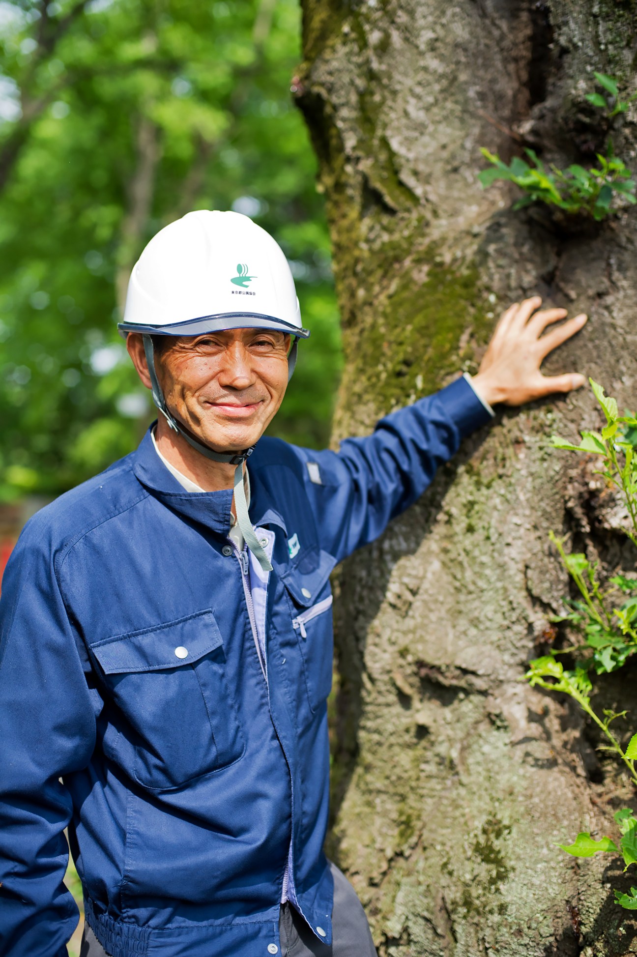 Akira Kobayashi, a certified tree doctor, inspects a moss-covered tree trunk in Tokyo.