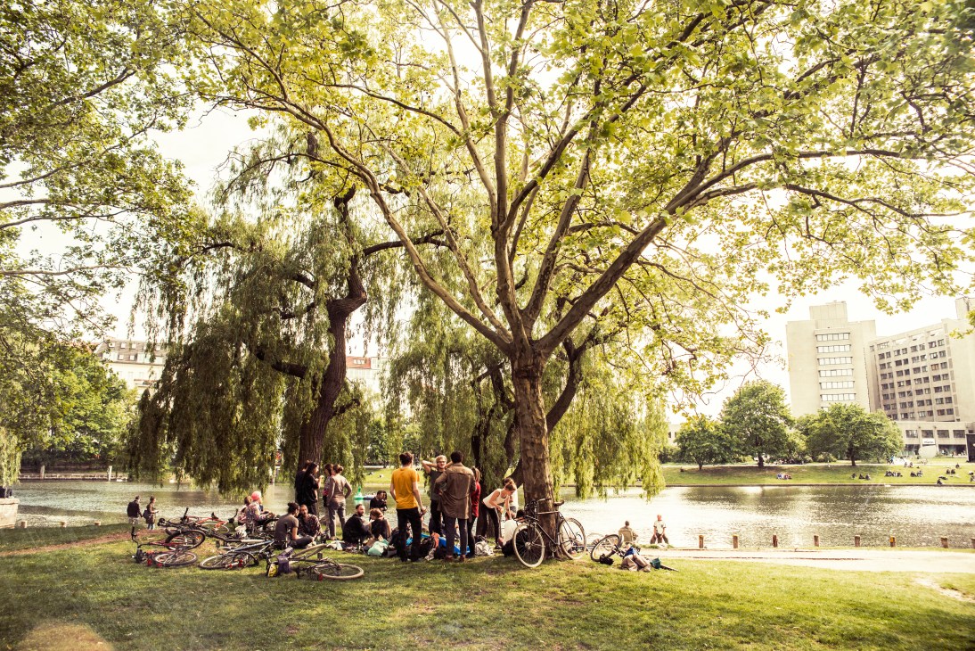 A group of people gathered under large trees by a canal in an urban park with bicycles nearby.