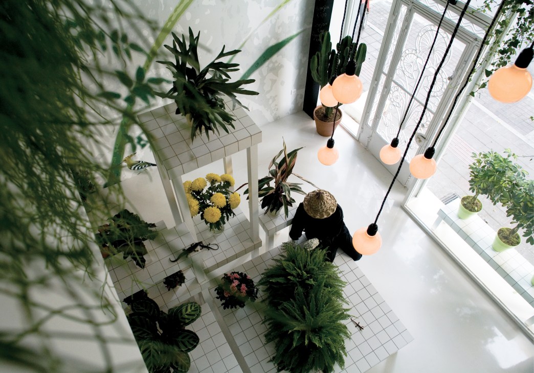 Overhead view of a bright flower shop interior with plants, hanging peach-colored lights, and a person arranging flowers.