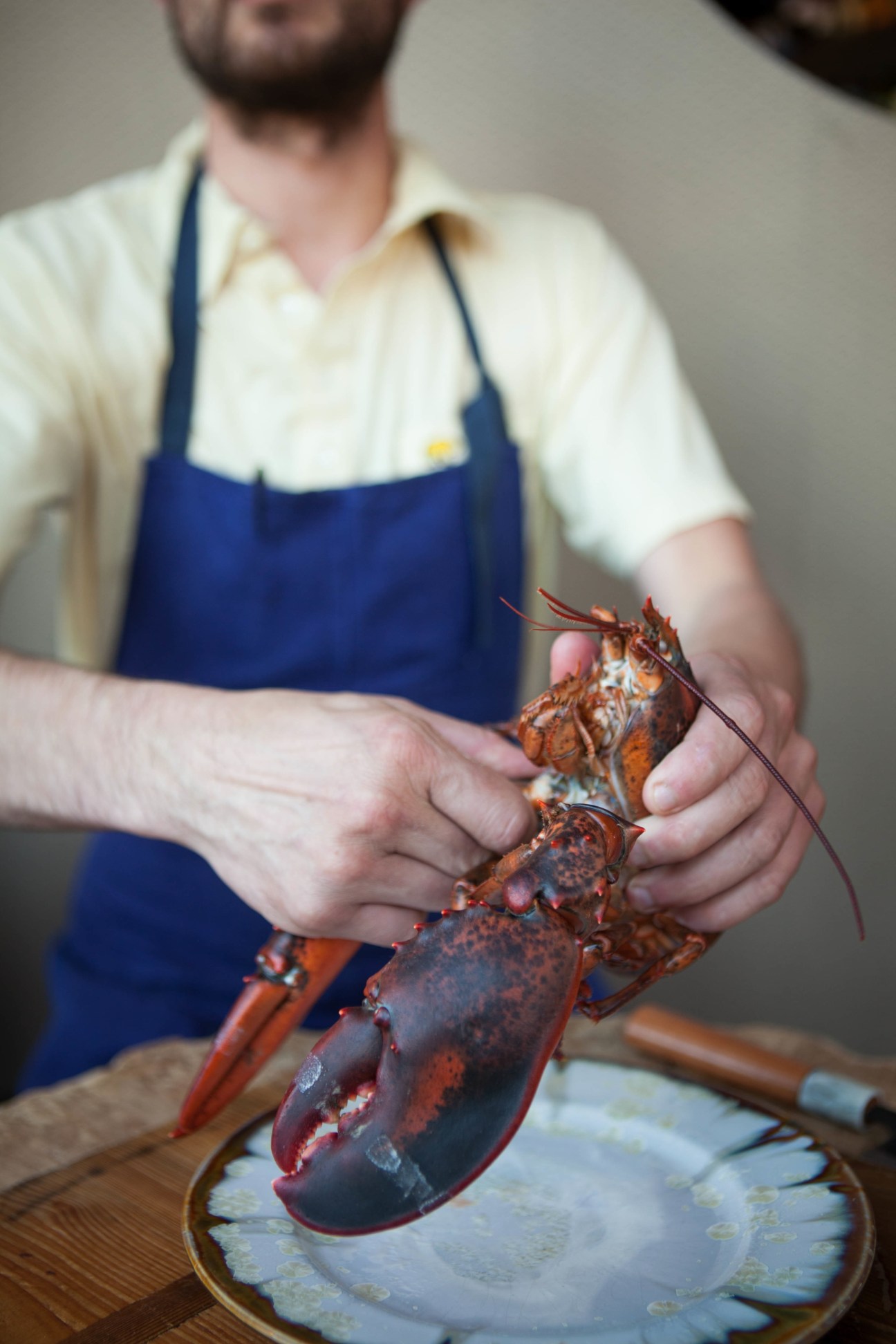 A chef in a navy apron holds a fresh raw lobster over a plate.