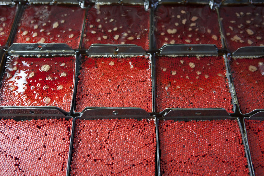Close-up of red paint or ink swatches in metal containers with metal lids, showing color variations and texture.