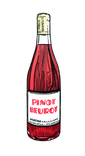 Illustration of a bottle of Santini Collective pinot beurot wine with red liquid and cream-colored label.