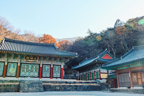 Jeungsimsa Temple in Gwangju with traditional Korean architecture and lush surrounding forest.