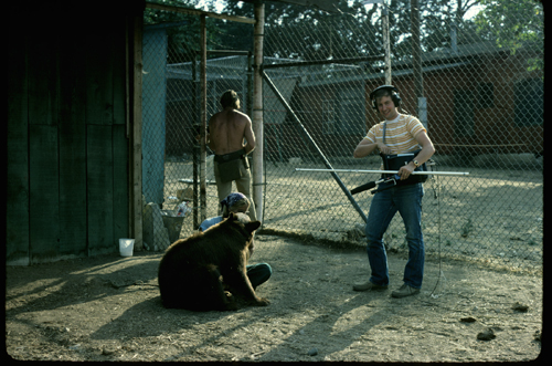 A bear sits on the ground in an enclosure while a handler stands nearby with a stick.