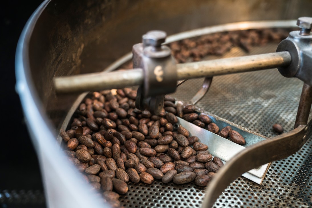 Roasted cocoa beans in a coffee roaster with wooden stirring mechanism at Marou chocolate factory.