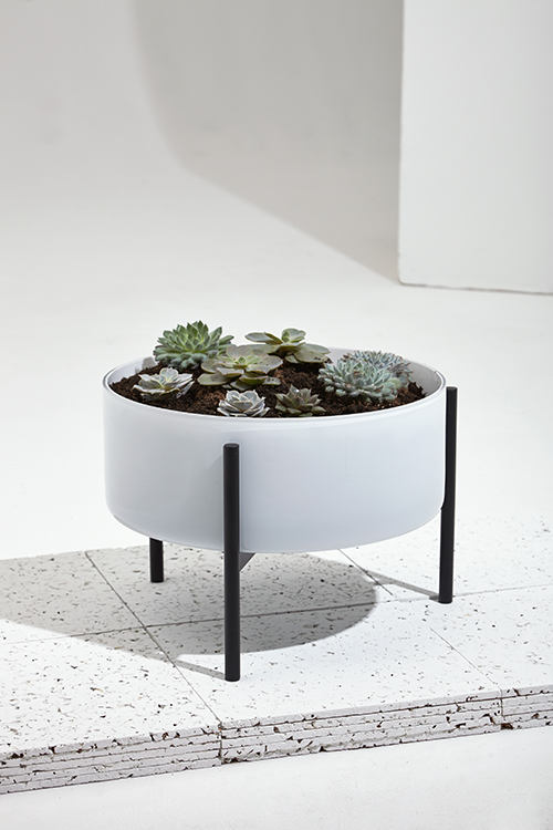 White cylindrical planter with black metal legs containing succulent plants.