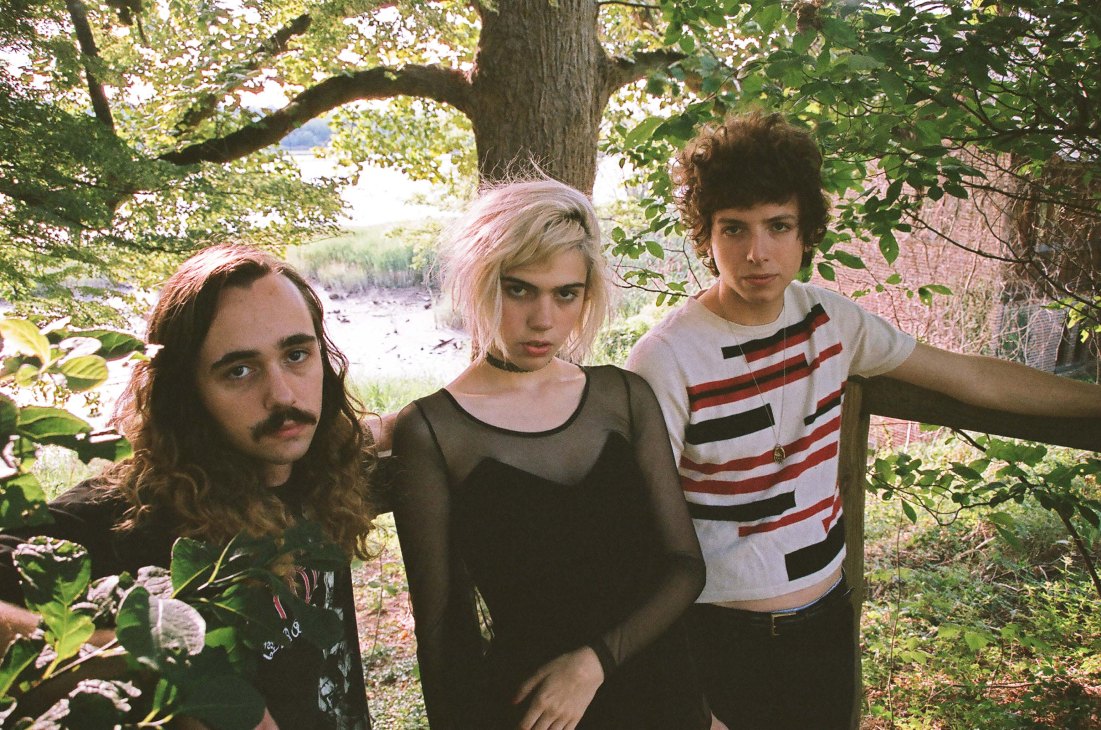 Three members of Sunflower Bean pose outdoors beneath a large tree with water visible in the background.