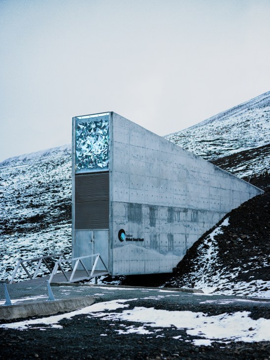 The Global Seed Vault entrance with concrete porch and light installation on a snowy Arctic mountainside.