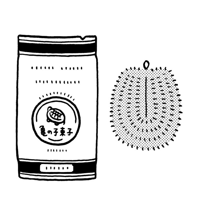 Illustration of Kamenoko Tawashi cleaning product package with turtle logo and spiky brush.