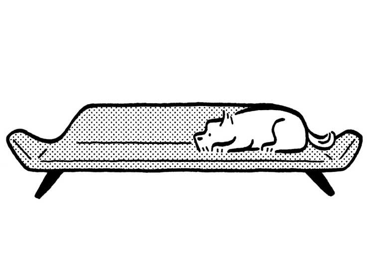 MiaCara Letto daybed with dog lying on modern Scandinavian-style furniture piece