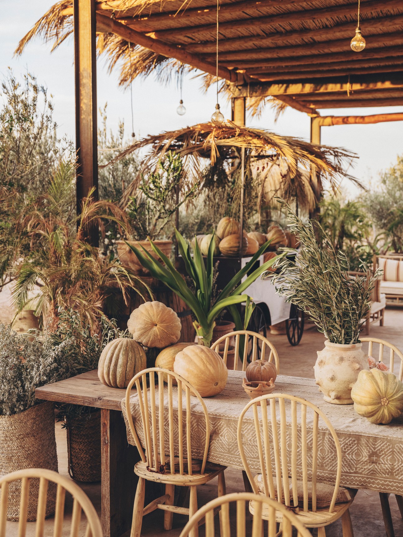Decorative pumpkins arranged at Farasha Farmhouse