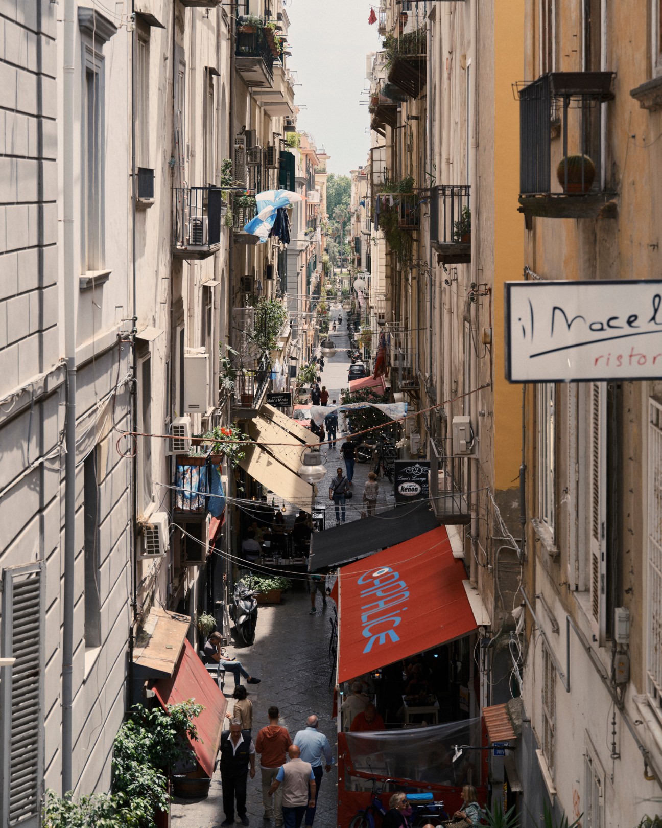 Lively avenue