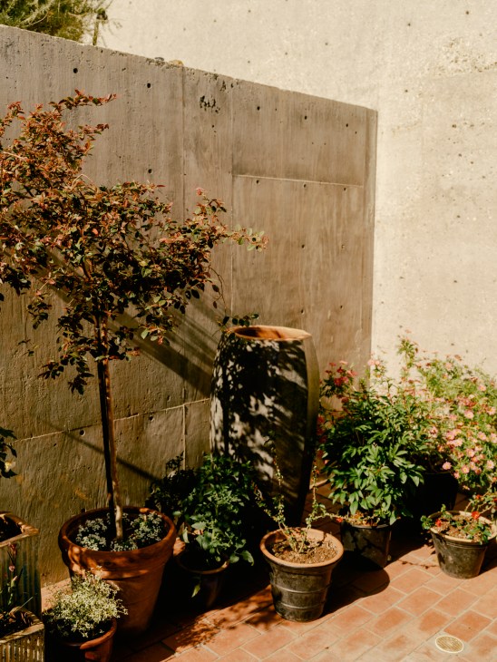 Sunlit patio with potted plants arranged against concrete walls creating an outdoor garden space