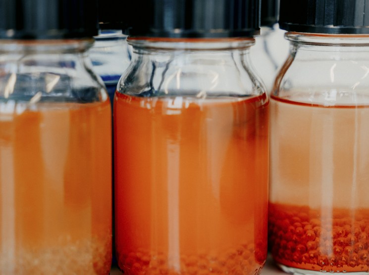 The colourful story behind the Danish paint giant’s state-of-the-art coatings